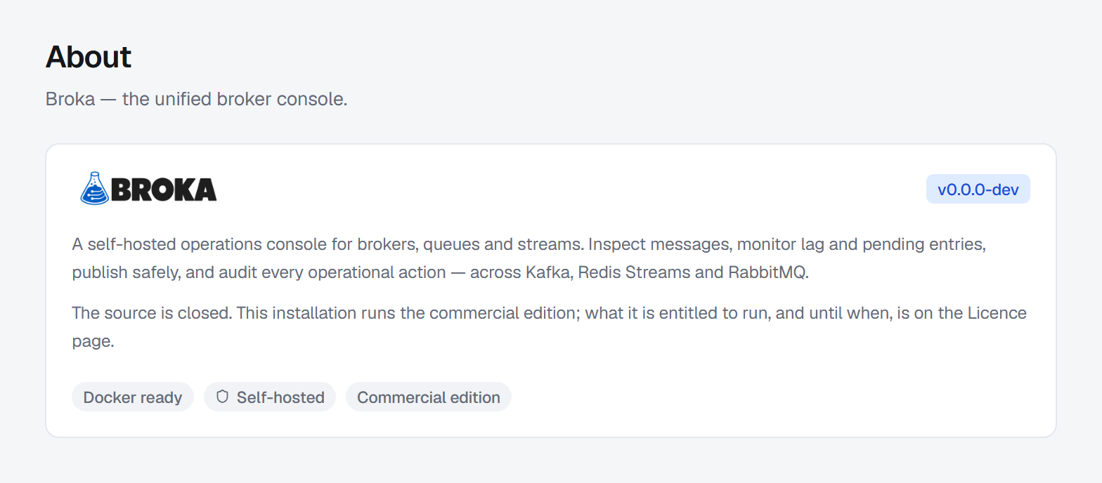 Settings › About: the product name and version, a sentence on what BROKA is, a note that the source is closed and which edition this installation runs, and three tags - Docker ready, Self-hosted and the edition.